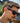 Sonnebrille mit Vereinswappen