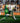 #11 Weixelbraun im Spiel gegen Schalke 04